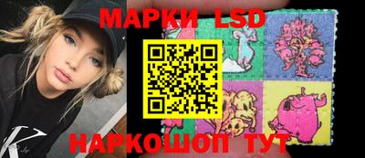 шишки Бийск