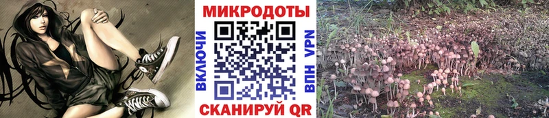 Галлюциногенные грибы прущие грибы  хочу   kraken как зайти  Серов 