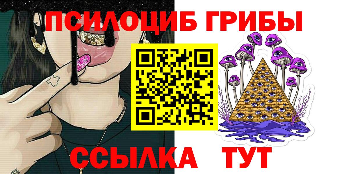 Псилоцибиновые грибы мицелий  Псилоцибиновые грибы Psilocybine cubensis  Серов  Вход с VPN 