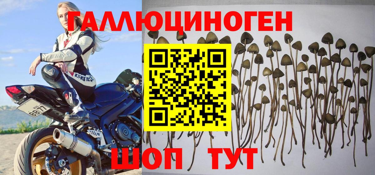 Галлюциногенные грибы прущие грибы  Псилоцибиновые грибы ЛСД  Серов 