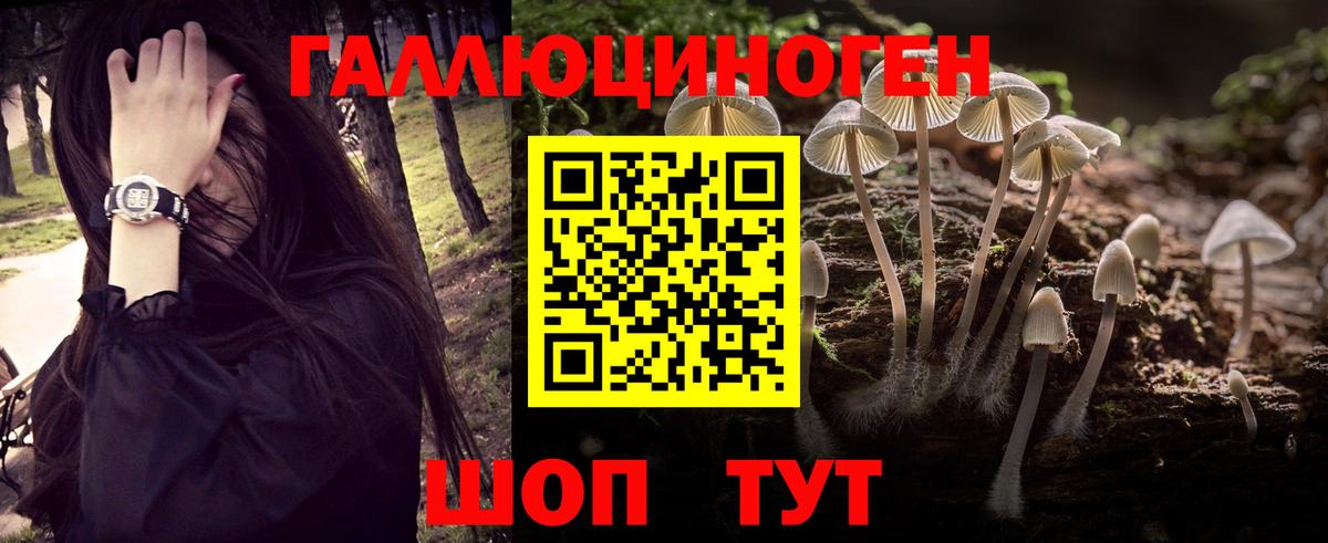 Галлюциногенные грибы MAGIC MUSHROOMS Серов
