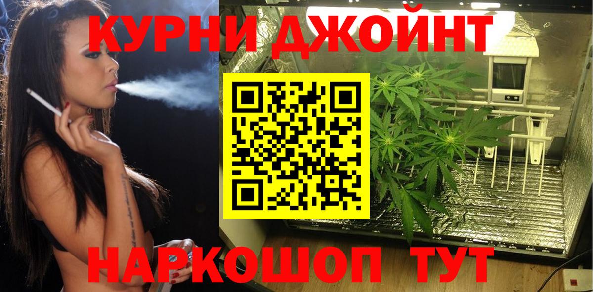 Конопля LSD WEED  Серов  Каннабис Ganja 